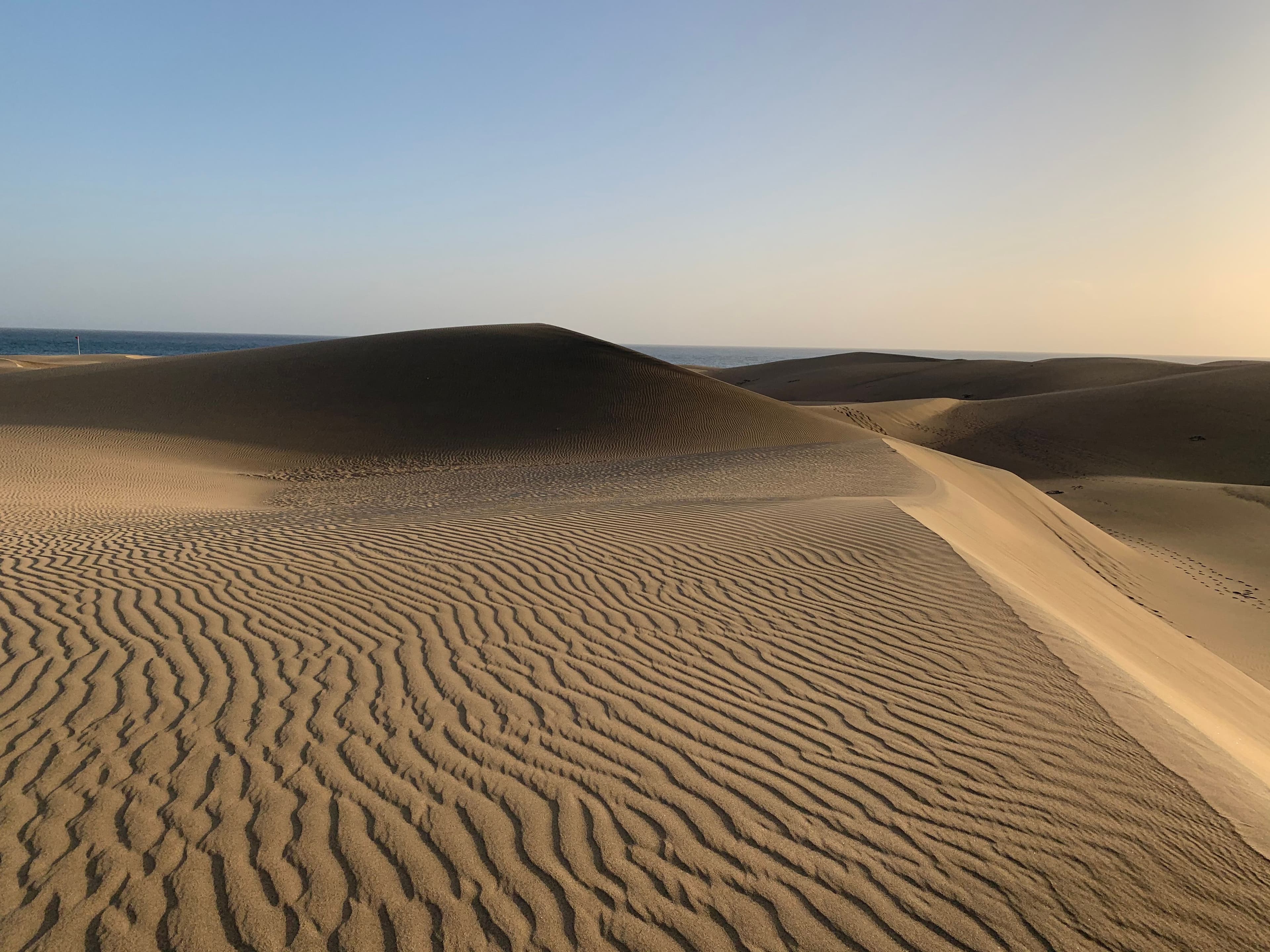The rippled sand of the Maspalomas dunes at low sun