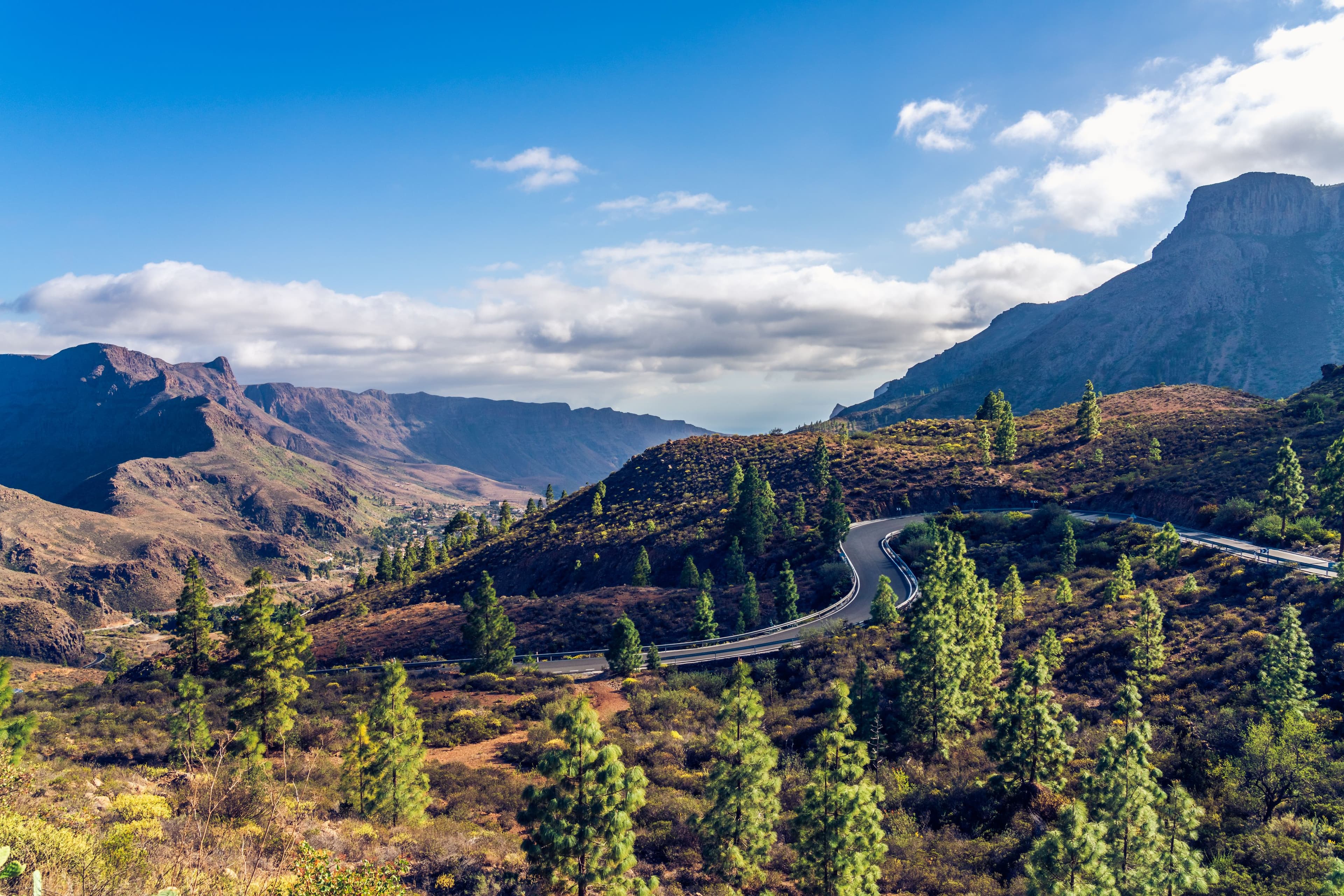 A road winding through Gran Canaria's pine-covered interior