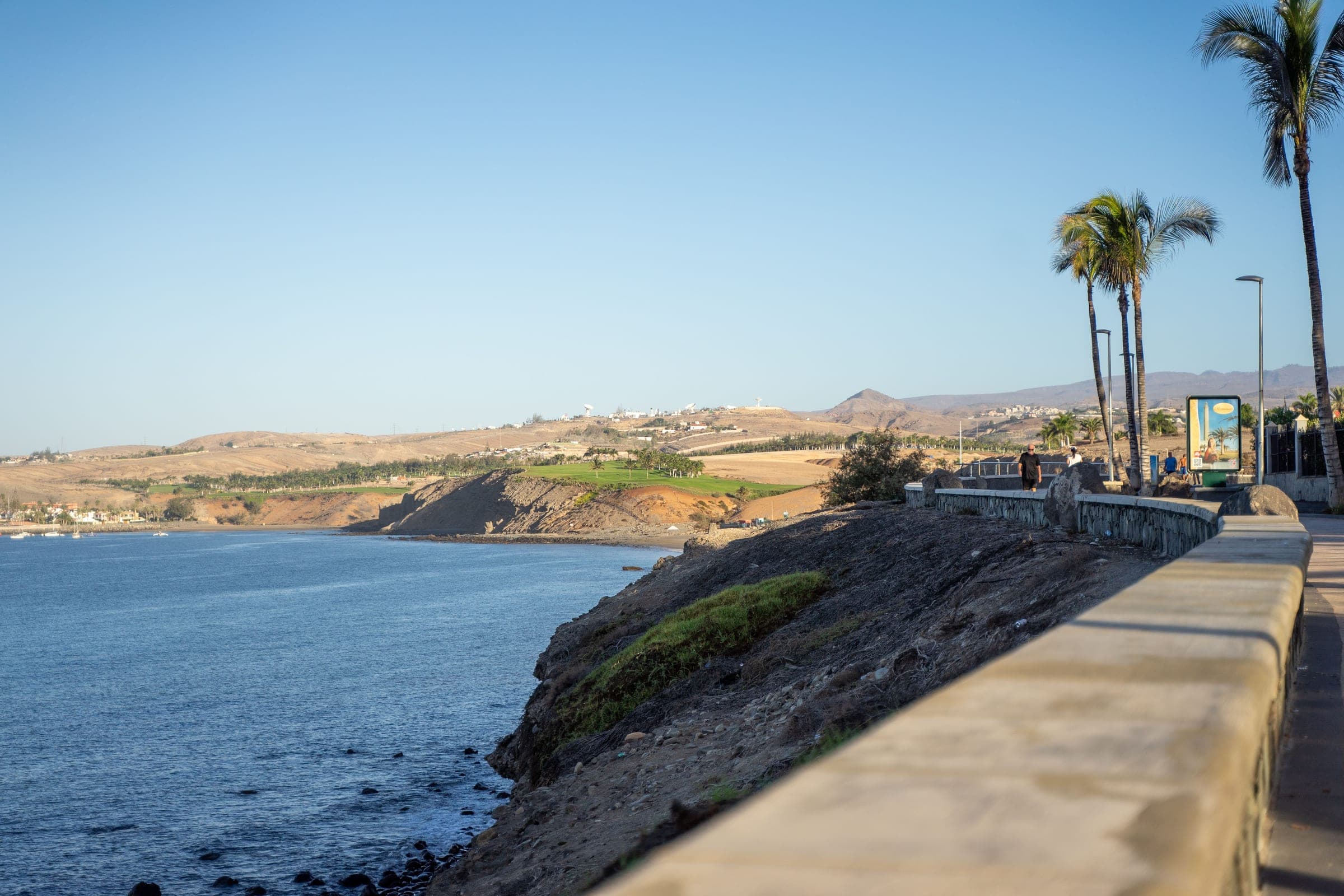 The coast at Playa del Ingles, with palms along the front above the sea